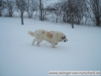 Jeanette_20101231-1