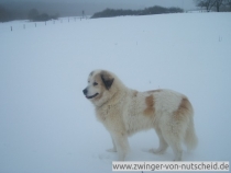 Jeanette_20101231-2