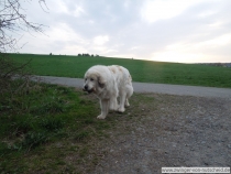Jeanette_20150416-2