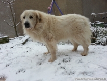 Joliette_20150120