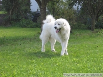 Kasimir_2005