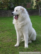 Kasimir_200609_1