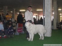 Kasimir_200610_1