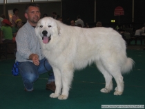Kasimir_200610_3