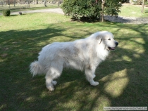 Kasimir_201103_1
