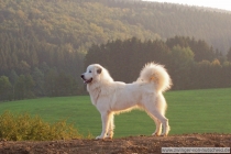 Kira_200701_4