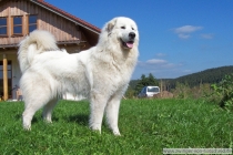 Kira_200701_5