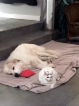 Lajuscha im Februar 2017