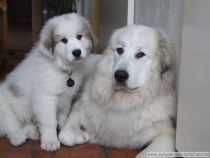 Loke_200701_1