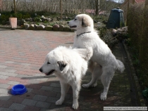 Loke_200704_1