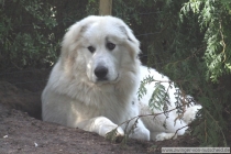Loke_200708_1