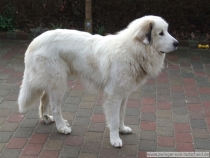 Loke_200801_1
