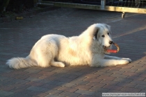 Loke_200801_2