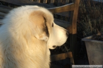 Loke_200801_3