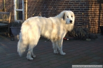 Loke_200801_4