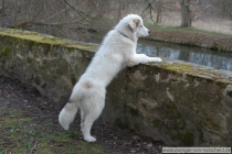 Lovis_20070329_4