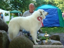 Luna_2008