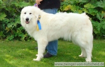 Luna_2009_DCH