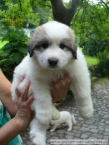 Mailow