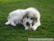 Mailow_200709_1