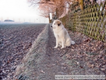Mailow_200801_1