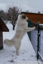 Mailow_200801_2