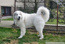 Mailow_200803_1