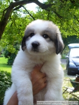 Margaux