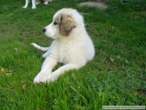Margaux_20070824_1