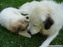 Margaux_20070824_3