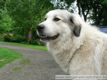 Margaux_200907_1