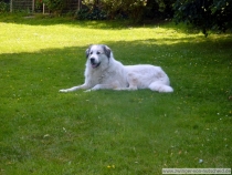 Margaux_201106_1