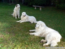 Margaux_201209_1