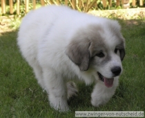 Mateo_200708_1