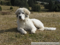 Mateo_200710_1