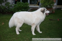 Mateo_200806_1
