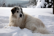 Mateo_201012_1