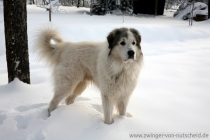 Mateo_201012_2