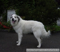Maurice_200908_1