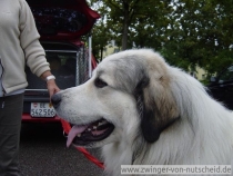 Maurice_200908_2