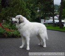Maurice_200908_3