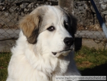 Maurice_200910_1