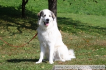 Maurice_200910_2