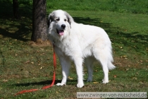 Maurice_200910_3