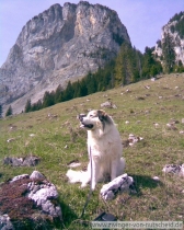 Maurice_201104_1
