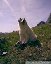 Maurice_201104_2