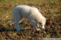 Maya-Nanouk_200709_1