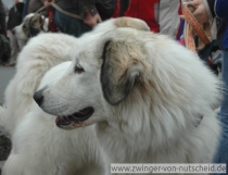 Maya-Nanouk_200803_1
