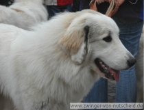 Maya-Nanouk_200803_3