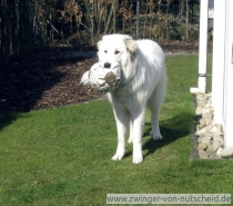 Muriel_200803_1